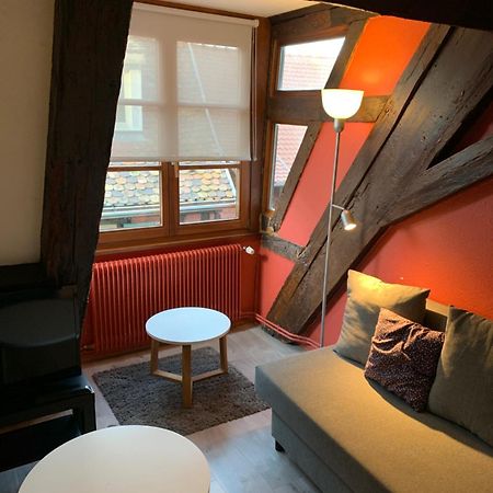 Appartement Duplex 2A Rue D'Alspach Кольмар Екстер'єр фото