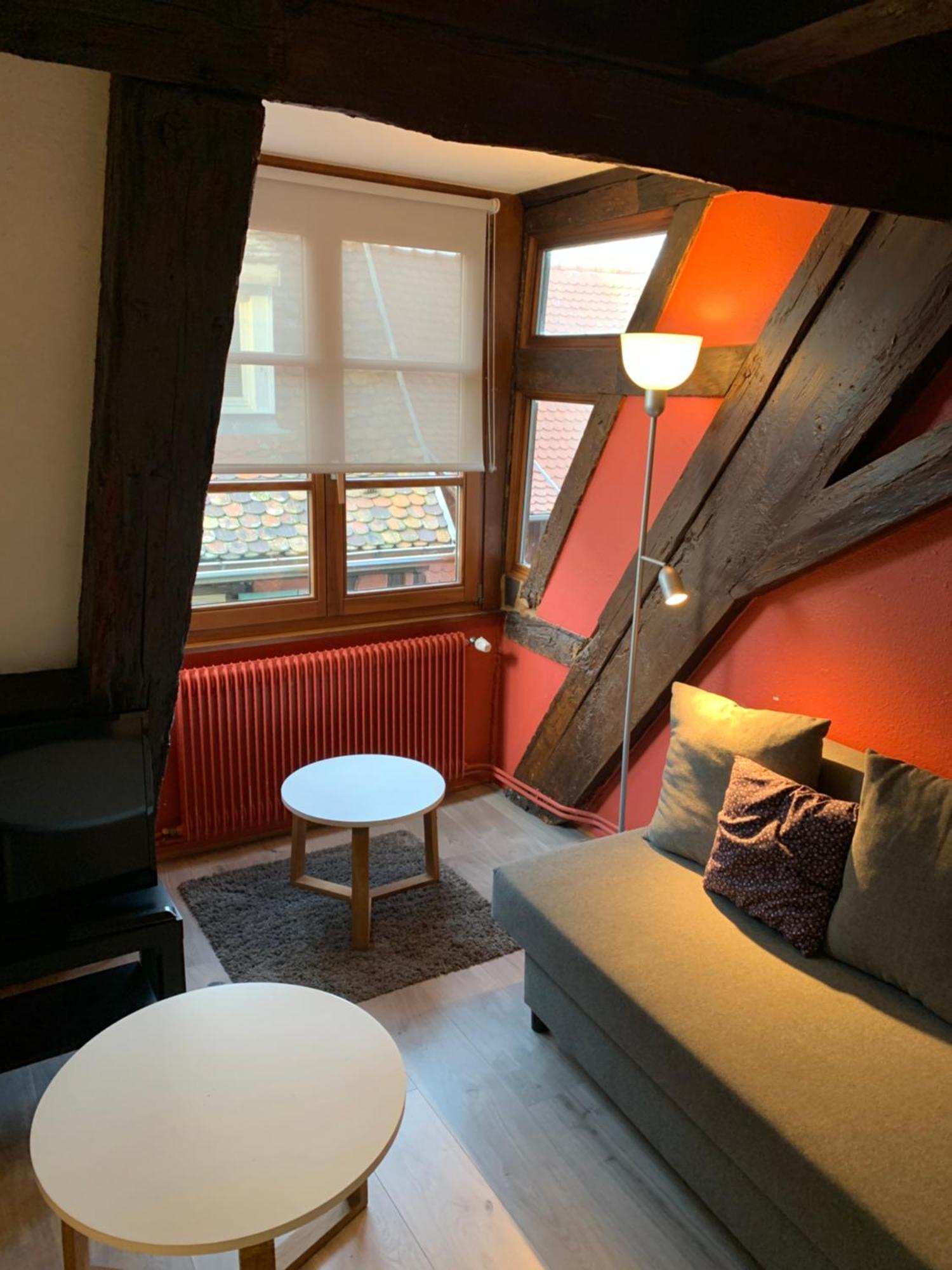 Appartement Duplex 2A Rue D'Alspach Кольмар Екстер'єр фото