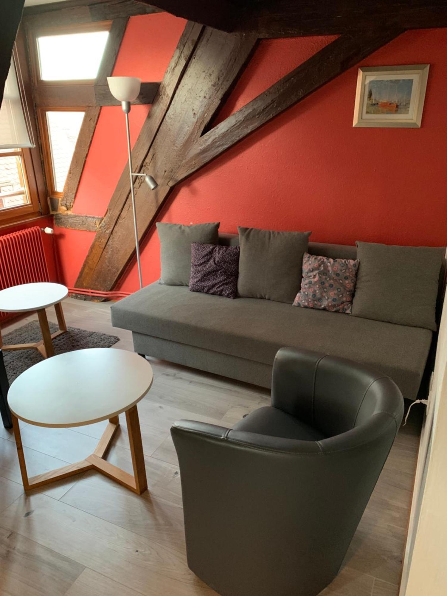 Appartement Duplex 2A Rue D'Alspach Кольмар Екстер'єр фото