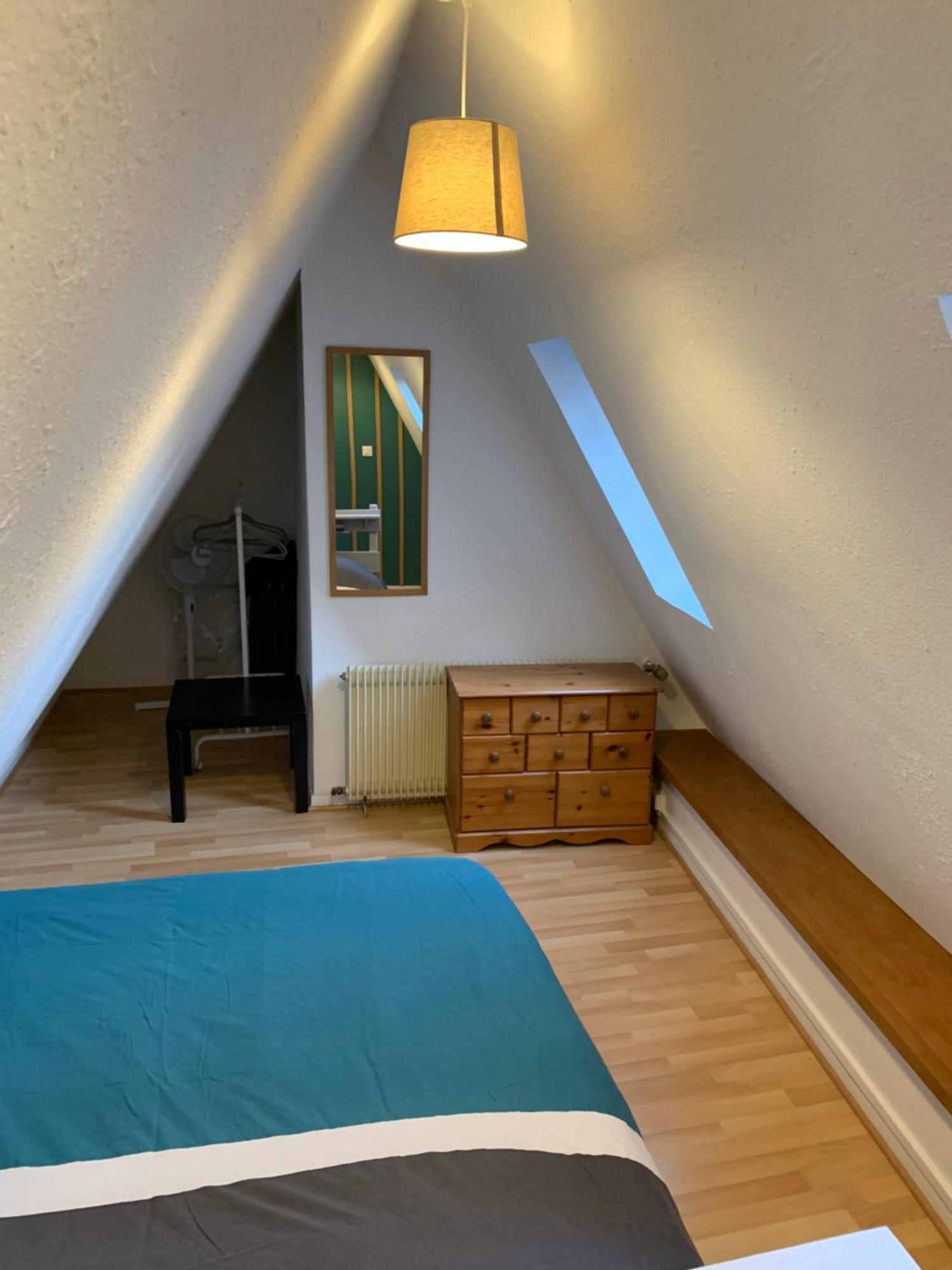 Appartement Duplex 2A Rue D'Alspach Кольмар Екстер'єр фото