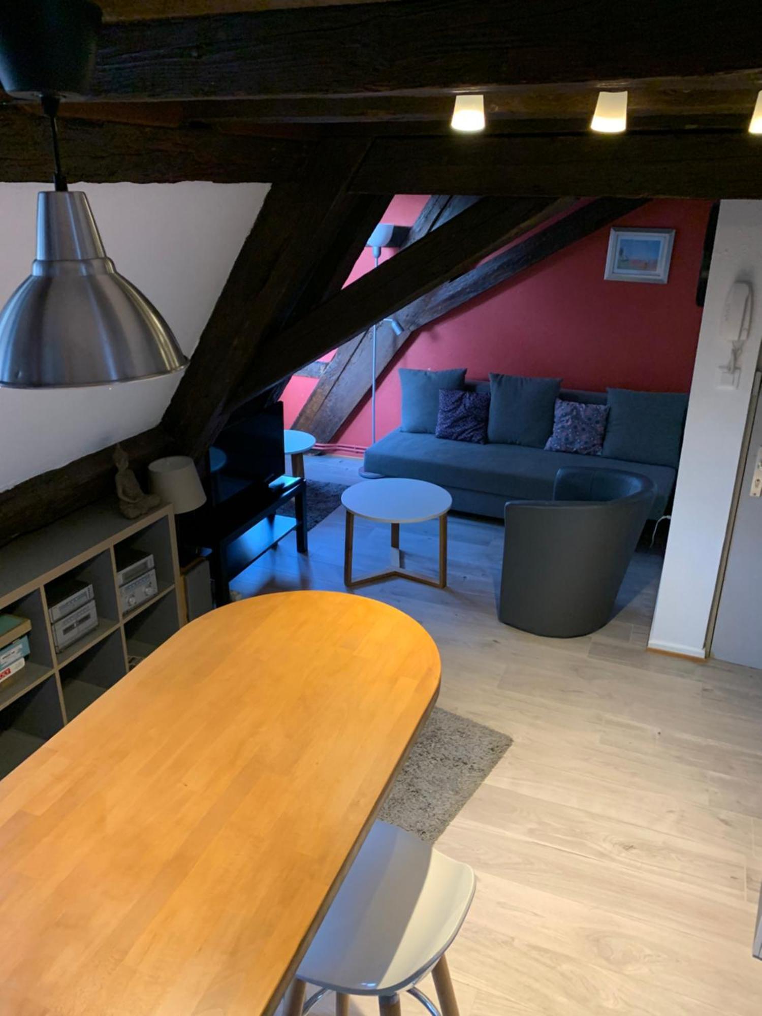 Appartement Duplex 2A Rue D'Alspach Кольмар Екстер'єр фото
